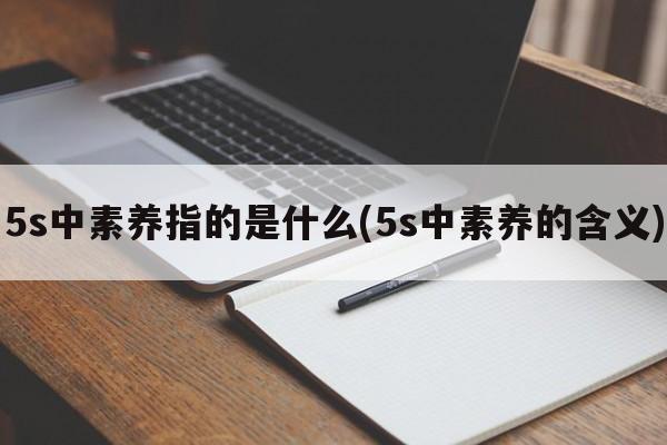 5s中素养指的是什么(5s中素养的含义)